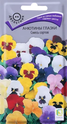 Анютины глазки из гофрированной бумаги /мастер класс «Виола» из бумаги  /dekoratoroDIY - YouTube