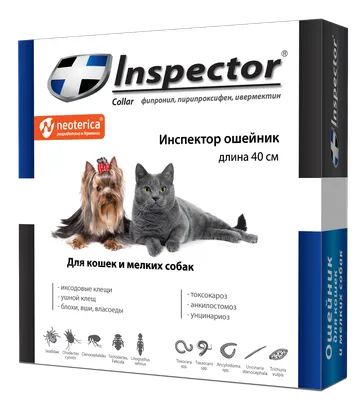 Капли (Inspector) Quadro С (1пип) от блох, клещей и глистов для собак от 4  до 10кг (ЛИЦЕНЗИЯ), купить оптом в Москве, цена, характеристики, описание -  Симбио - ЗооЛэнд