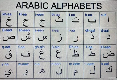 Png арабский алфавит PNG , арабский, шрифт алфавит, арабский алфавит PNG  картинки и пнг PSD рисунок для бесплатной загрузки
