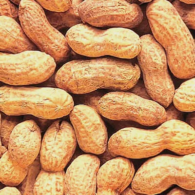 Подлинные фото арахиса, передающие его красоту