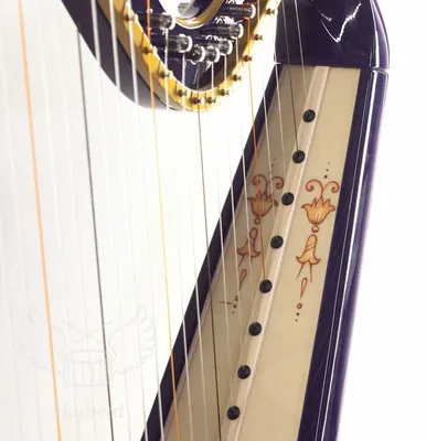 Кельтская арфа Лира, Арфа с, струнный инструмент, щипковые струнные  инструменты, музыкальные инструменты png | Klipartz