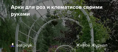 Арки для роз и клематисов своими руками