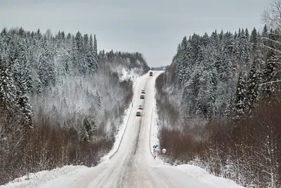 Архангельск зимой фото фотографии