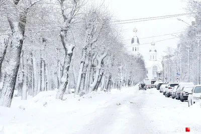 Архангельск | NaturalistClub