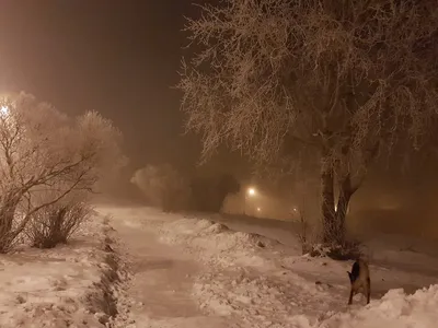 Заповедная Чудь. Архангельск осень-зима | Большая Страна