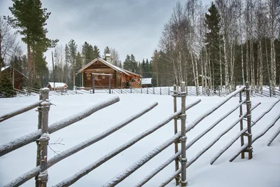 Старый Архангельск - Набережная Северной Двины зимой