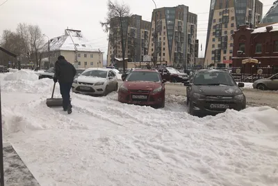 Зимний сад, ресторан, Поморская ул., 2, Архангельск — Яндекс Карты