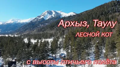 Тур на Новый год в Архыз - праздник, снег, горы и глинтвейн!