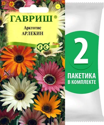 Купить семена Арктотис крупноцветковый ВЕСЕЛЫЙ АРЛЕКИН (10 шт) в магазине  ГринПрофи Тольятти