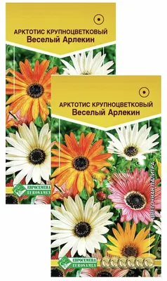 Садовод Семена цветов однолетних Арктотис Арлекин набор 2 шт