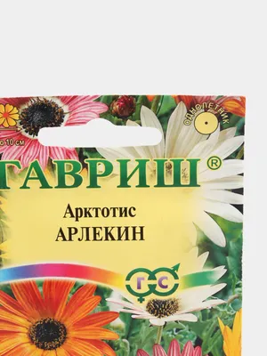 Арктотис гибридный Арлекин (семена,цветы) | ⚡ Бесплатная доставка завтра |  AliExpress
