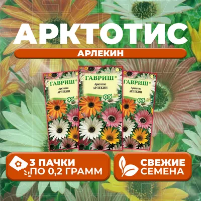 Купить Арктотис Арлекин Евро-Семена