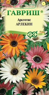 ✓ Семена Арктотис Арлекин, смесь, 0,2г, Гавриш, Цветочная коллекция по цене  38 руб. ◈ Большой выбор ◈ Купить по всей России ✓ Интернет-магазин Гавриш ☎  8-495-902-77-18