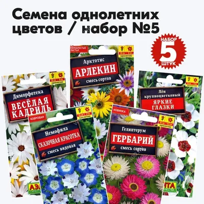 Арктотис \"Арлекин\" ТМ \"Семена Украины\" 0.2г купить почтой в Одессе, Киеве,  Украине | Agro-Market