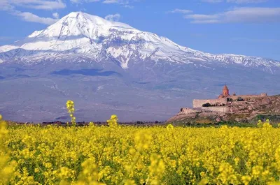 На каких условиях Армения пустит иностранцев | Ассоциация Туроператоров