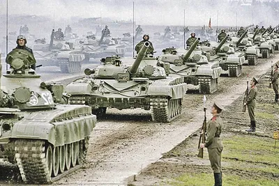 Российская армия пополнится казаками | Всероссийское казачье общество