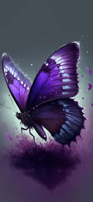 Pin by ummehunzla on Pins by you | Flower iphone wallpaper, Pretty  wallpapers, Iphone wallpaper photos