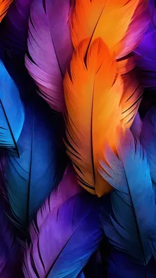 Art Wallpapers: Free HD Download [500+ HQ] | Unsplash