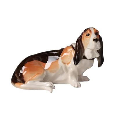 зима гончей собаки Basset унылая Стоковое Изображение - изображение  насчитывающей шерсть, мило: 25558379