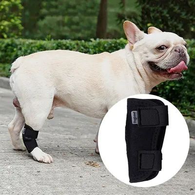 Регулируемый бандаж для спины собак для облегчения боли в спине IVDD,  артрит Dachshunds Corgies Dog Vest | AliExpress