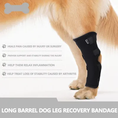 Купить Наколенник для домашних животных, бандаж для ног при растяжении  связок крестообразной связки, артрит, поддержка задней ноги собаки | Joom