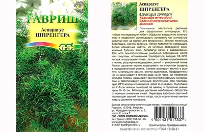 Аспарагус Мейера - Аспарагус (спаржа) - Декоративно-лиственные растения -  Комнатные растения - GreenInfo.ru