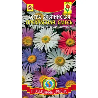 Купить Астра альпийская Альбус в Подмосковье в Сергиевом Посаде в питомнике  АгроПАРК