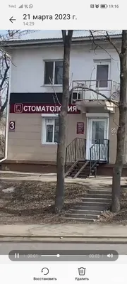 Массовая продажа елок начнется уже на следующей неделе во Владивостоке - 8  декабря 2023 - vladivostok1.ru