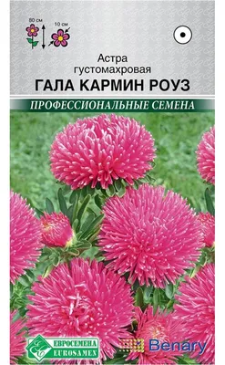 Семена астра Евросемена Гала кармин роуз 1 уп. - купить в Москве, цены на  Мегамаркет