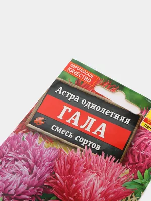 Астра Гала Еллоу (Gala Yellow) семена купить в Украине | Веснодар