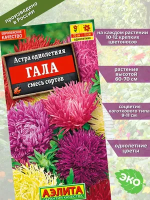 Семена цветов Астра \"Гала\" купить по цене 99 ₽ в интернет-магазине  KazanExpress
