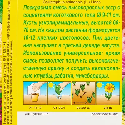 Астры однолетние Цветущий сад МЦ Астра ГАЛА - купить по выгодным ценам в  интернет-магазине OZON (788068015)