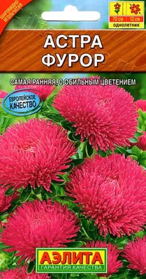 Астра Майстер, однолетняя (игольчатая) смесь 0,3 гр. купить оптом в Томске  по цене 14,98 руб.