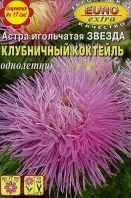 https://xn--80akkfiknedki.xn--90ais/sadovyj-tsentr/semena/semena-tsvetov/astra-igolchataya-smes-03-g