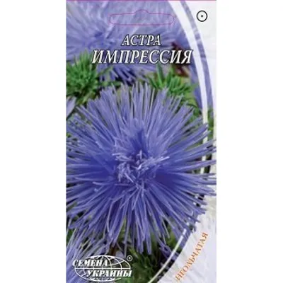 ᐉ Купить Семена Астра Игольчатая (смесь) [0,25г] (Семена Украины) в Украине  - Виста