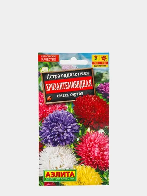 Астра Принцесса, смесь, хризантемовидная | Leda Agro