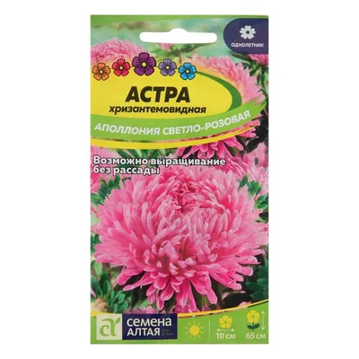 Цветы Астра Хризантемовидная, смесь сортов (семена) купить по цене 43 ₽ в  интернет-магазине KazanExpress