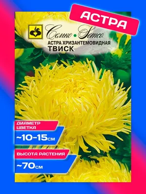 Купить Семена - Астра Юлия, хризантемовидная, 0,3 г. ❱❱ Колибри-маркет ❰❰❰
