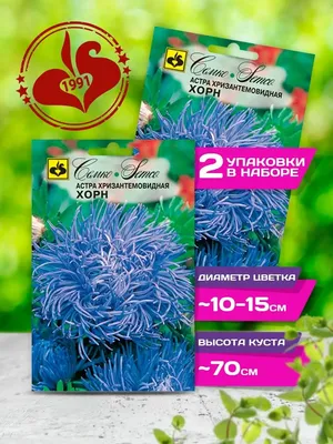 Астра Аполлония, красная хризантемовидная | Leda Agro