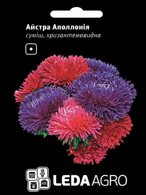 Семена Цветов Астра Хорн хризантемовидная густомахровая Семко 23782663  купить за 206 ₽ в интернет-магазине Wildberries