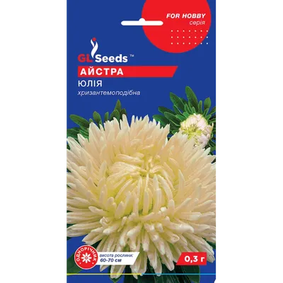 Астра хризантемовидная ЛУННАЯ СОНАТА смесь, семена цветов купить по цене 69  ₽ в интернет-магазине KazanExpress