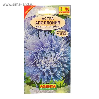 Астра Сиринга оранжевая (Orange) хризантемовидная однолетняя Satimex купить  семена, цена в Супермаркете Семян