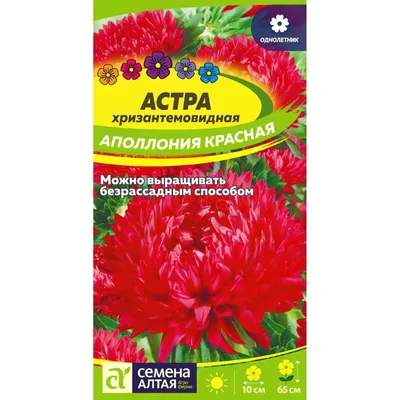 Астра Серебряно-синяя хризантемовидная, Апполония (0,2г, Leda Agro) -  купить Семена Астры в Киеве и Украине, выгодная цена Астра Серебряно-синяя  хризантемовидная, Апполония в интернет-магазине Agrostore ТМ (Агростор)