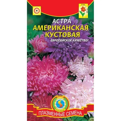 Семена Астра Американская кустовая, смесь окрасок купить по низкой цене в  интернет-магазине - Интернет-магазин «СЕМЕНА ТУТ»