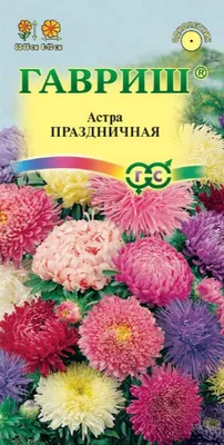 Астра Праздничная, махровая смесь 0,3 гр. купить оптом в Томске по цене  15,53 руб.