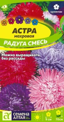 Семена цветов Астра \"Махровые мячи\", смесь окрасок, О, 0,1 г (1314000) -  Купить по цене от 16.00 руб. | Интернет магазин SIMA-LAND.RU