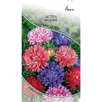 Астра Махровое чудо высокорослые сорта, смесь купить в Москве в  интернет-магазине Семена цветов