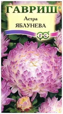 Семена Цветов Астра Зильбертурм пионовидная махровые цветки Семко 27657725  купить за 195 ₽ в интернет-магазине Wildberries