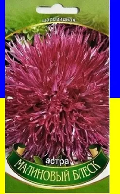 Семко Семена Цветов Астра Дюшес пионовидная махровые цветки