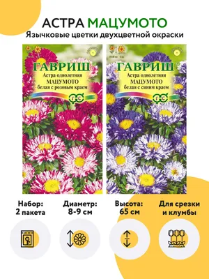 Астры однолетние ПОИСК Агрохолдинг семена астры, астра семена, семена  цветов, астра хризантелла, астра китайская, семена набор. - купить по  выгодным ценам в интернет-магазине OZON (726220485)